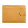 colour-light brown