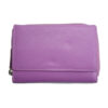 couleur-violet
