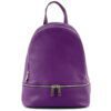 couleur-violet