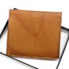 colour-light brown